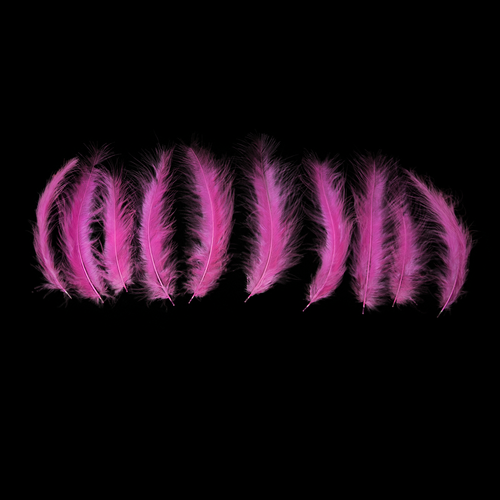 Pink Feathers - Balloominators