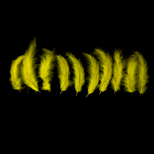 Yellow Feathers - Balloominators